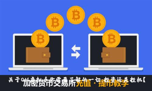 关于OM虚拟币你需要了解的一切：投资还是投机？