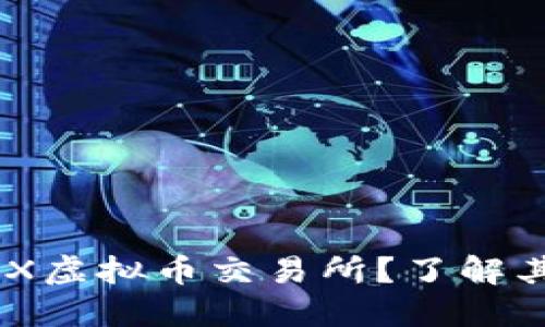 为什么选择BX虚拟币交易所？了解其优势与风险！