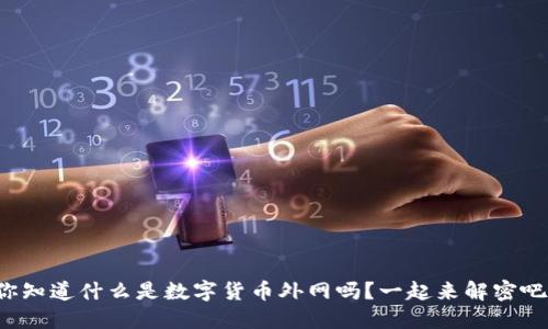 你知道什么是数字货币外网吗？一起来解密吧！