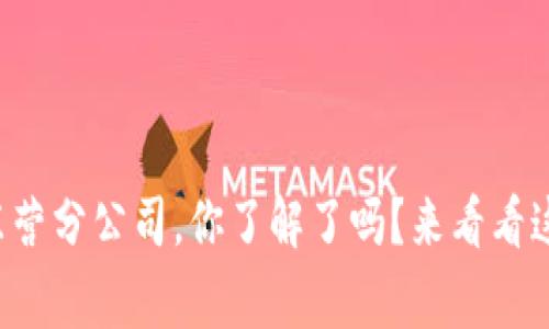 山东数字货币东营分公司，你了解了吗？来看看这背后的故事吧！