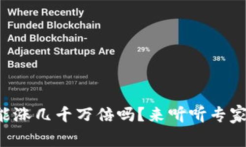 虚拟币能涨几千万倍吗？来听听专家怎么说！