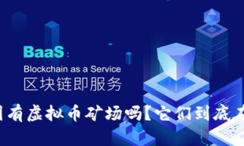 你知道国有虚拟币矿场吗？它们到底在干什么？