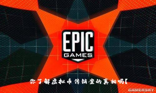 你了解虚拟币传销案的真相吗?