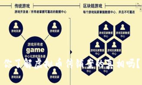 你了解虚拟币传销案的真相吗?
