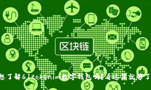 想了解61tokenim数字钱包吗？看这篇就够了！