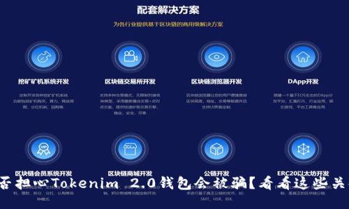你是否担心Tokenim 2.0钱包会被骗?看看这些关键点!