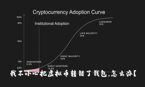 我不小心把虚拟币转错了钱包,怎么办?