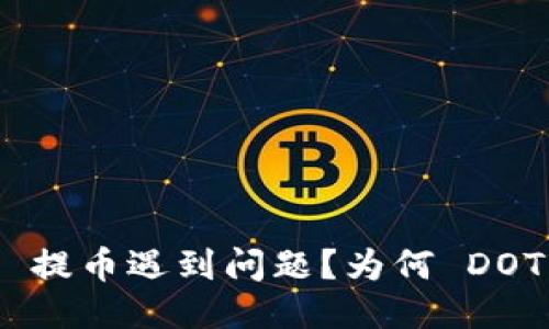 Tokenim 2.0 提币遇到问题?为何 DOT 余额消失了?