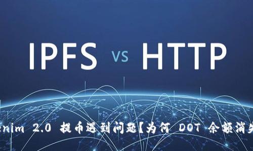 Tokenim 2.0 提币遇到问题?为何 DOT 余额消失了?