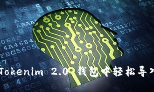如何在 Tokenim 2.0 钱包中轻松导入 USDT?