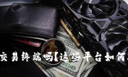 你了解虚拟币交易终端吗?这些平台如何改变交易方式?