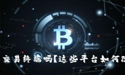 你了解虚拟币交易终端吗?这些平台如何改变交易方式?
