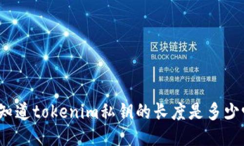 你知道tokenim私钥的长度是多少吗?