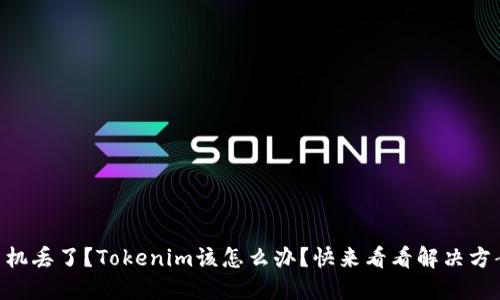 手机丢了?Tokenim该怎么办?快来看看解决方案!