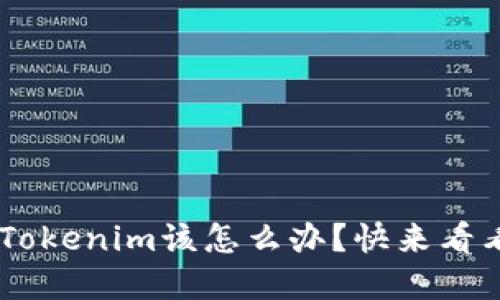 手机丢了?Tokenim该怎么办?快来看看解决方案!