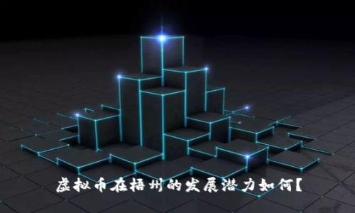 虚拟币在梧州的发展潜力如何?