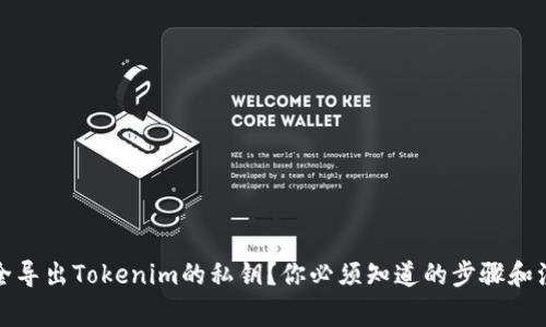 如何安全导出Tokenim的私钥?你必须知道的步骤和注意事项