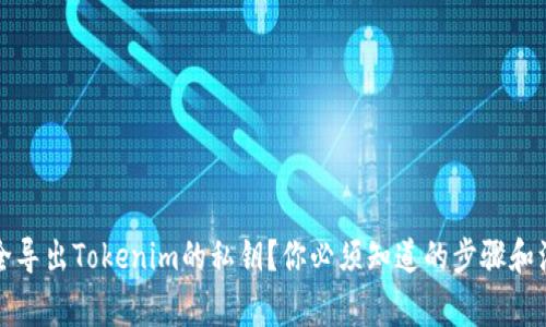 如何安全导出Tokenim的私钥?你必须知道的步骤和注意事项
