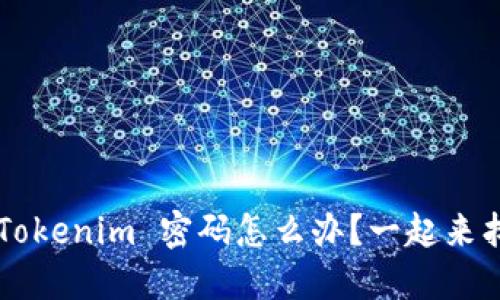 忘记 Tokenim 密码怎么办?一起来找回吧!