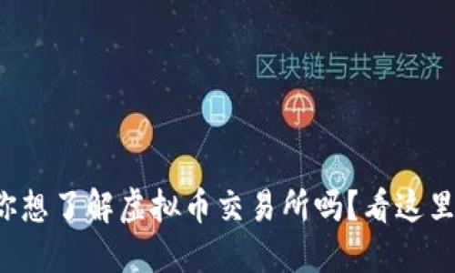 你想了解虚拟币交易所吗?看这里!