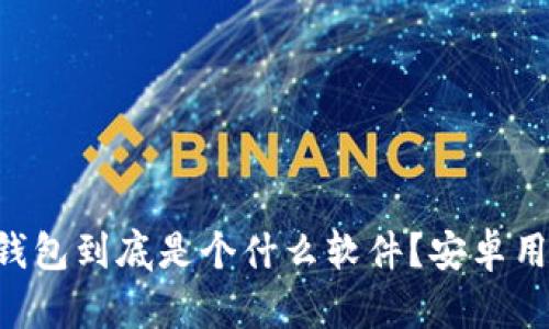 虚拟币钱包到底是个什么软件?安卓用户必看!