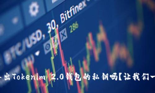 你知道怎么导出Tokenim 2.0钱包的私钥吗?让我们一步步来解密!