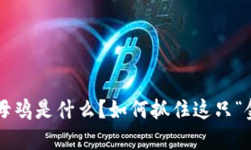 虚拟币母鸡是什么?如何抓住这只“金蛋蛋”?