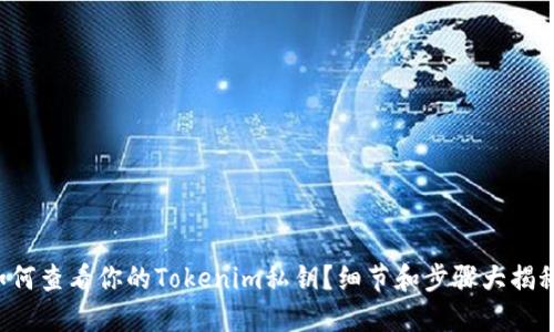 如何查看你的Tokenim私钥?细节和步骤大揭秘!