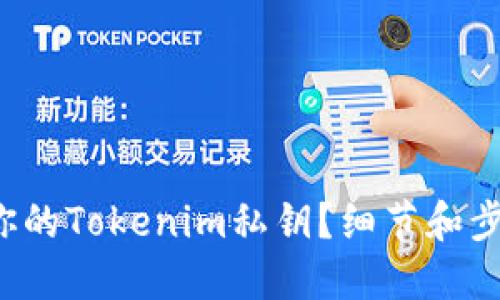 如何查看你的Tokenim私钥?细节和步骤大揭秘!