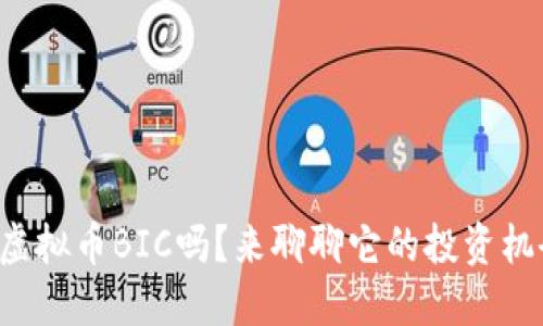 你听说过虚拟币BIC吗?来聊聊它的投资机会与风险!