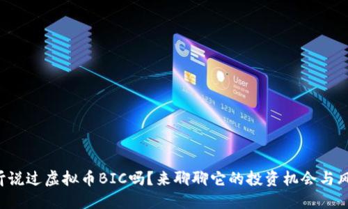 你听说过虚拟币BIC吗?来聊聊它的投资机会与风险!