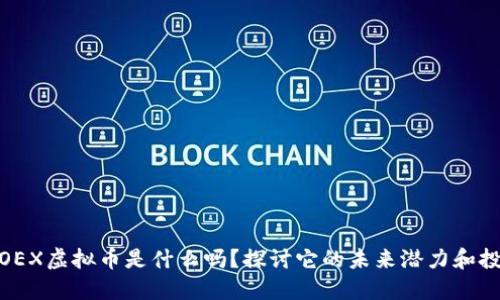 你知道OEX虚拟币是什么吗?探讨它的未来潜力和投资机会