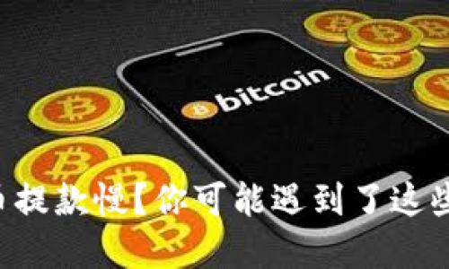 虚拟币提款慢?你可能遇到了这些情况!