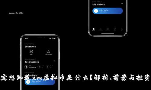 你一定想知道xm虚拟币是什么？解析、前景与投资建议