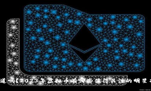 你知道吗？2023年虚拟币有哪些值得关注的明星项目？