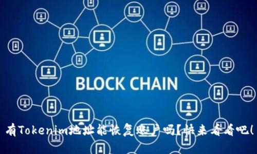 有Tokenim地址能恢复账户吗？快来看看吧！