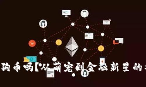 你了解狗狗币吗？从萌宠到金融新星的神奇之旅！