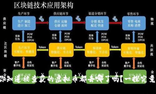 你知道被查获的虚拟币都去哪了吗？一探究竟！