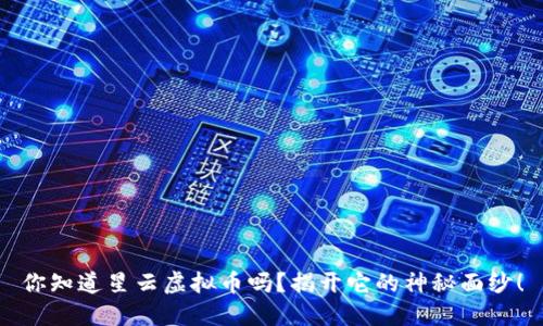 你知道星云虚拟币吗？揭开它的神秘面纱！