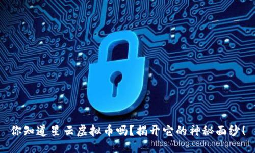 你知道星云虚拟币吗？揭开它的神秘面纱！