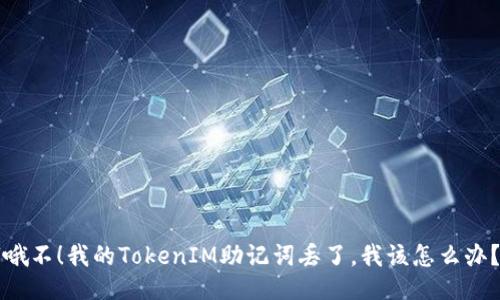 “哦不！我的TokenIM助记词丢了，我该怎么办？”