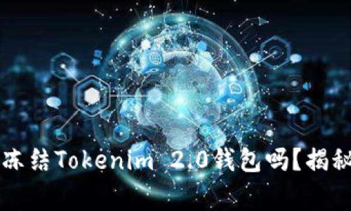 警察真的能冻结Tokenim 2.0钱包吗？揭秘背后的真相