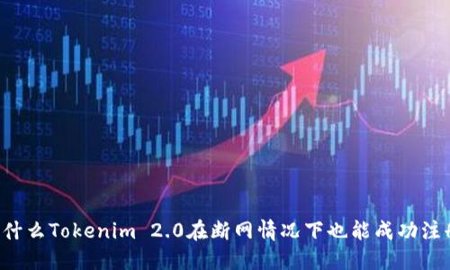 为什么Tokenim 2.0在断网情况下也能成功注册？