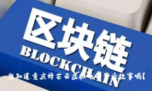 想知道重庆蜂芒云虚拟币的背后故事吗？