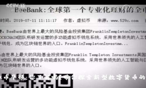 虚拟币牛顿：你了解吗？带你探索新型数字货币的魅力