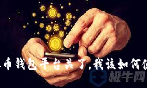 “我的虚拟币钱包平台关了，我该如何使用私钥？”