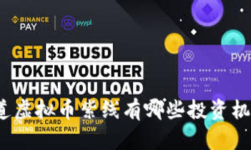 你知道虚拟币紫线有哪些投资机会吗？