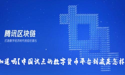 你知道吗？中国试点的数字货币平台到底是怎样的？