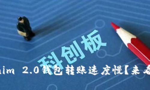 为什么你的Tokenim 2.0钱包转账速度慢？来看看这些解决方案！