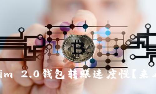 为什么你的Tokenim 2.0钱包转账速度慢？来看看这些解决方案！
